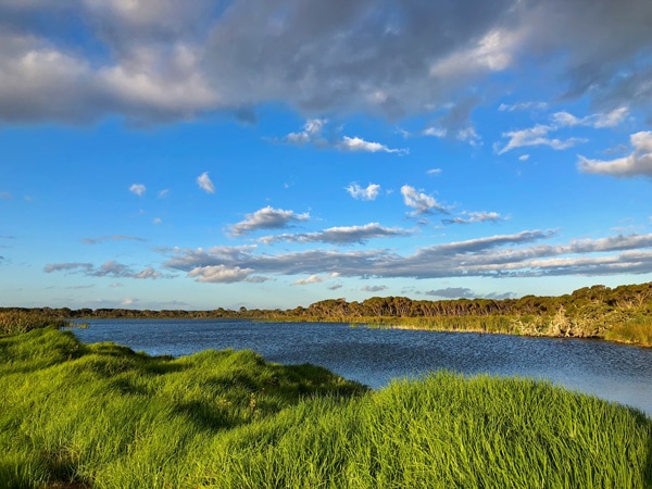 Visiting lake Seppings
