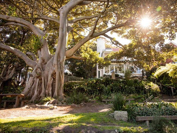 Wendy Whiteley’s Secret Garden in Lavender Bay