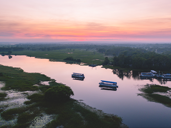 Kakadu