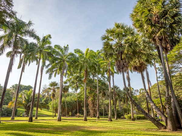 George Brown Darwin Botanic Gardens