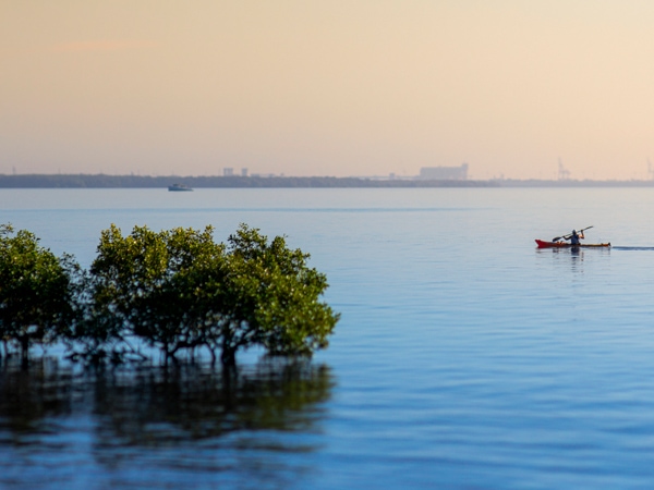 Paddle the Bayside in Brisbane