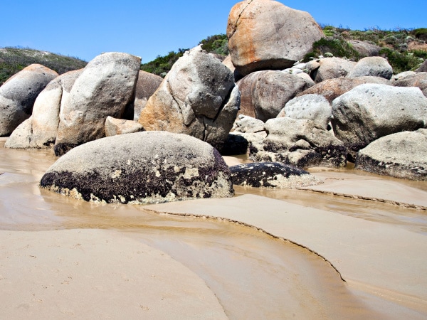Wilsons Promontory national park