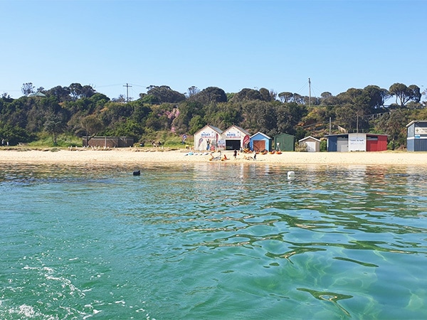 Mother’s Beach in Mornington