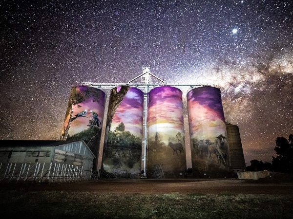 Thallon silo art