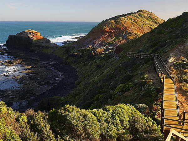Best hikes in Mornington Peninsula