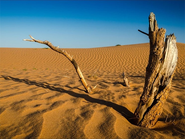 Perry Sandhills