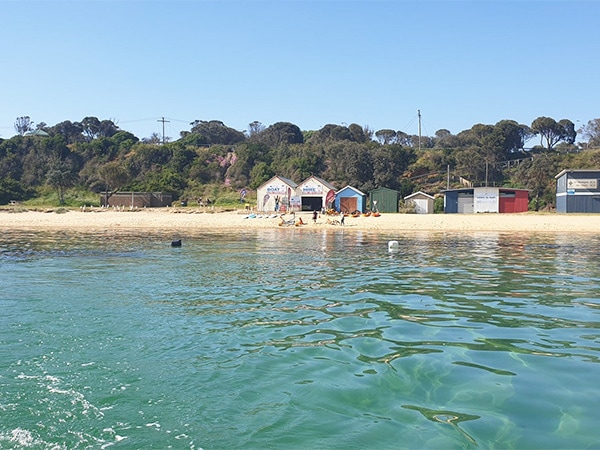 Mother's Beach in Mornington