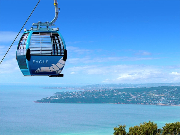 Soar in a cable car through the forest canopy