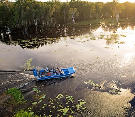 Airboat Tour Wetlands, Northern Territory