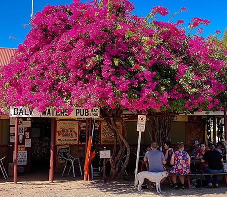 The Daly Waters Pub, Northern Territory
