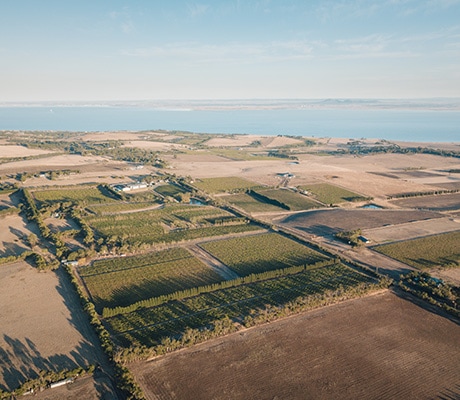 Aerial view out to the bay, Geelong