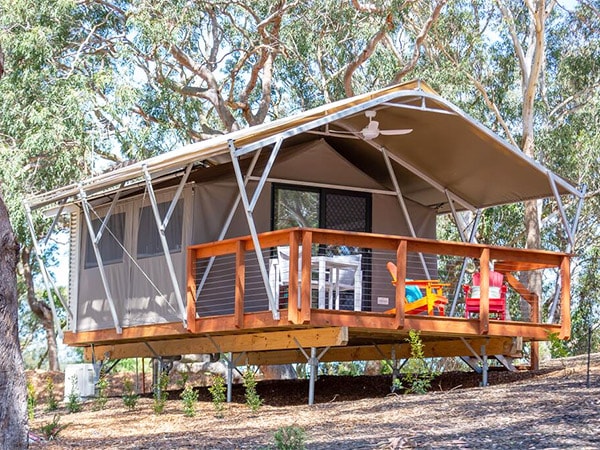 Koala Sancturary Port Stephens