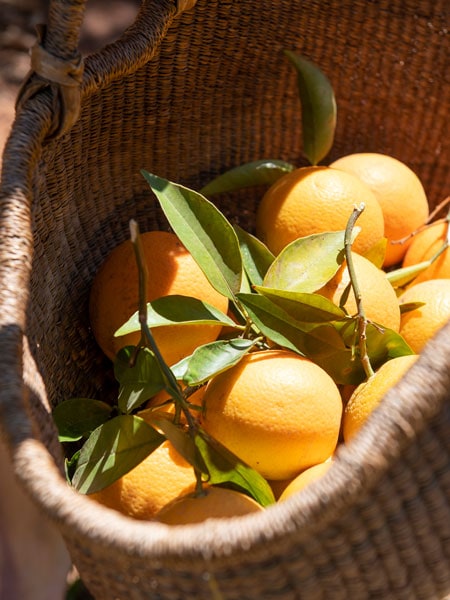 Fresh fruit in Griffith