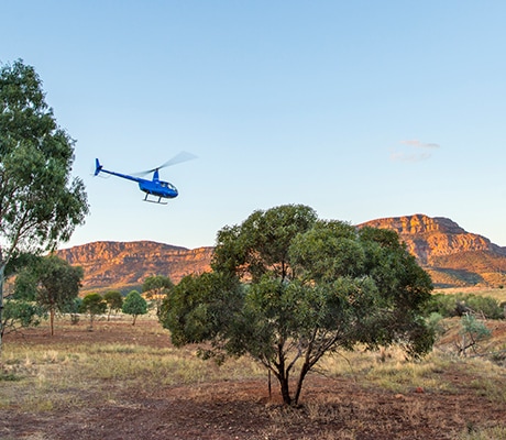 Rawnsley Park Heli-Camping, Flingers Rangers