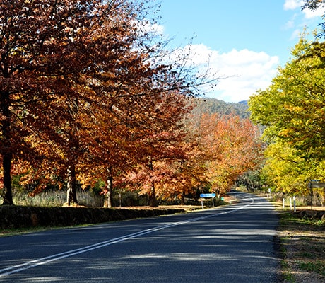 Alpine Way, Khancoban Snowy Valleys