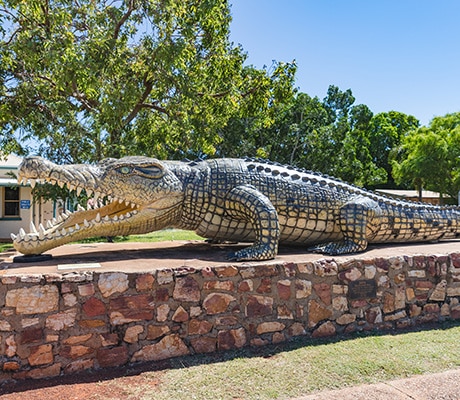 Krys the cros Normanton, Queensland