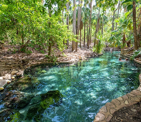 Mataranka Thermal Pools, Northern Territory