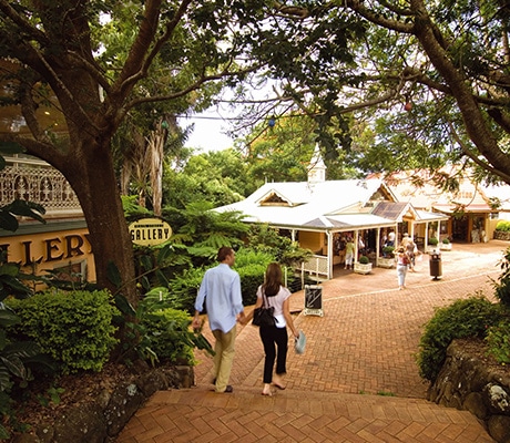 Montville, Sunshine Coast