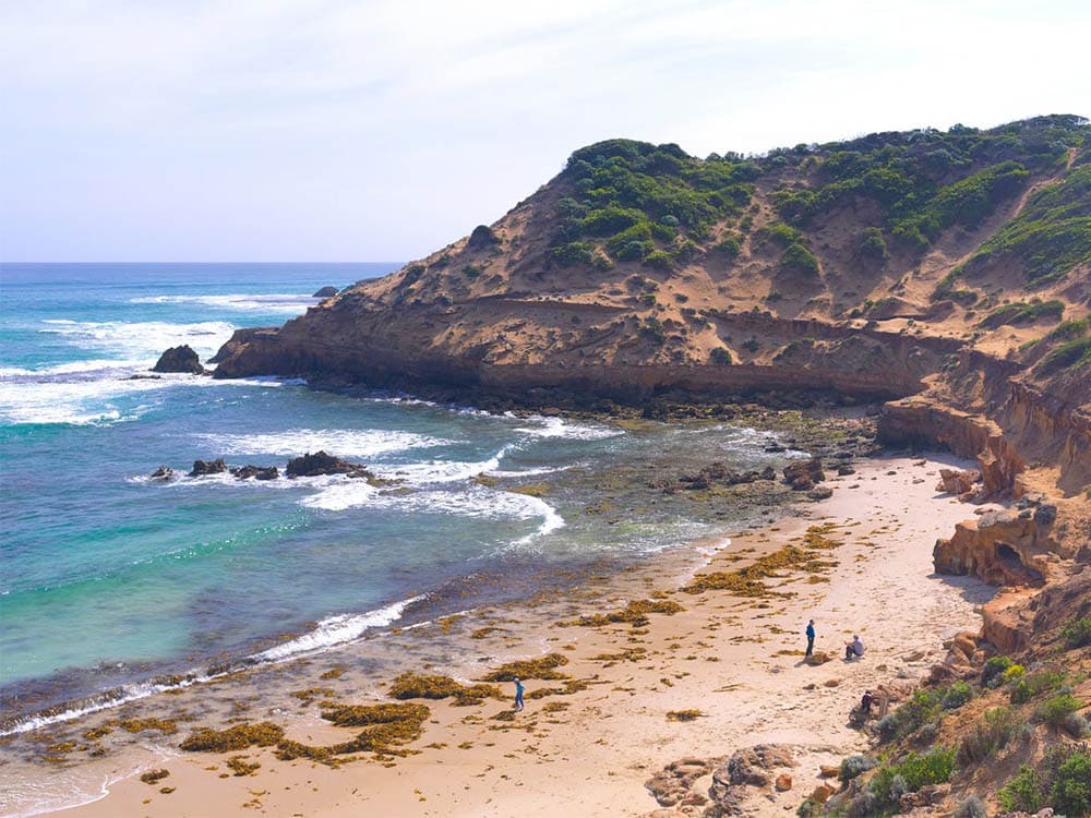 The Best Beaches On The Mornington Peninsula Australian Traveller 