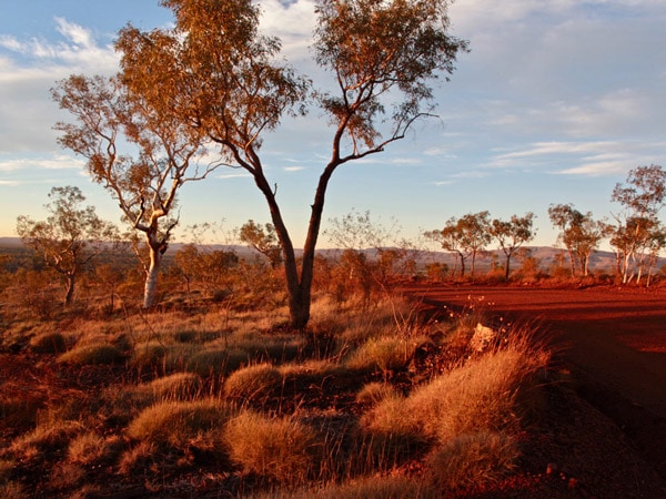 Karijini National Park at dawn.