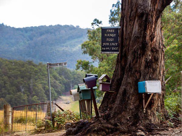 Lucaston, Huon Valley, Tasmania