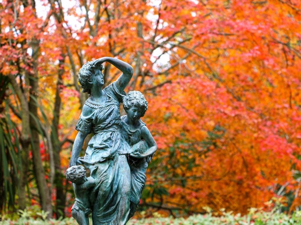 Sculpture in the Forest Glade Gardens.