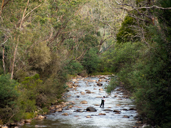 a man enjoying a day of fly fishing in Swampy Plains River, Kosciuszko National Park