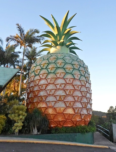 The Big Pineapple, Sunshine Coast