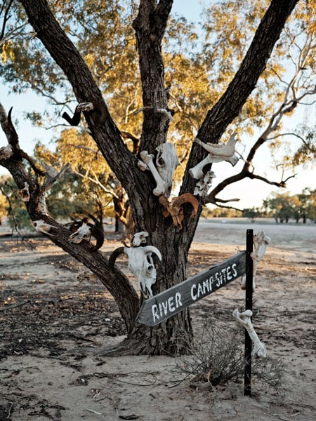 Stay at Trilby Station