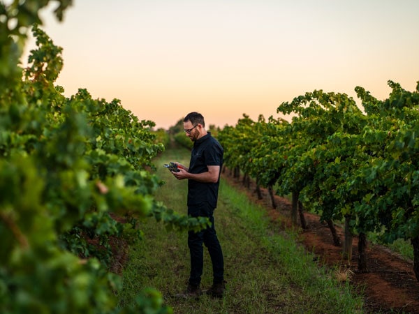 Yarran Wines