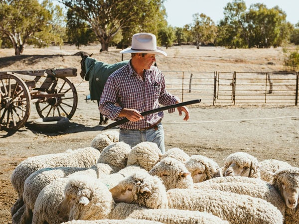 Back O’ Bourke Exhibition Centre Outback Show