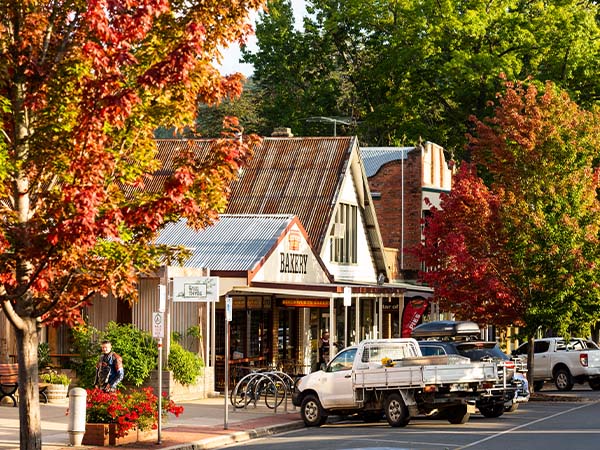 Bright, Victoria autumn