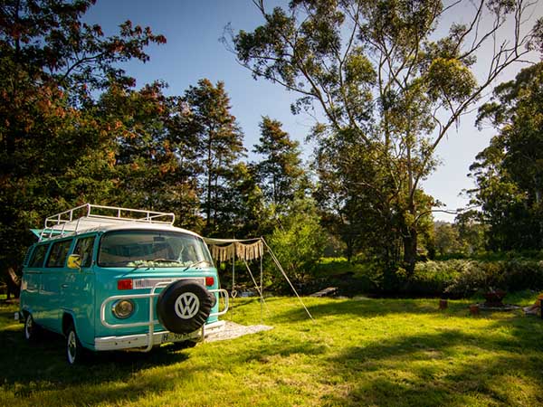 Kombi kamp Tasmania
