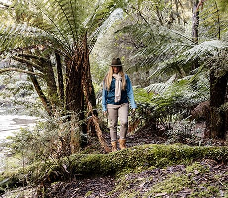 Great Otway National Park, VIC