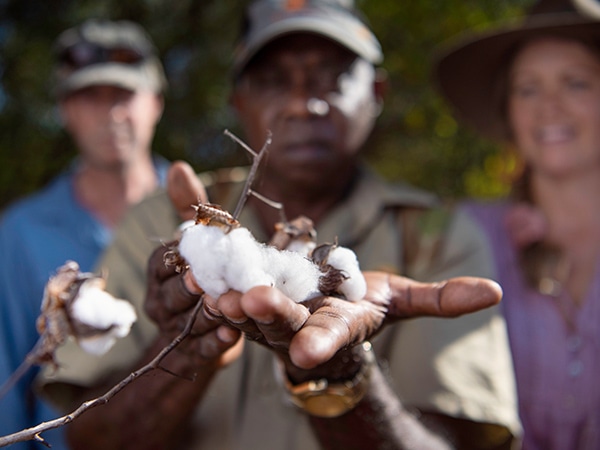 Ayal Aboriginal Tours, Northern Territory