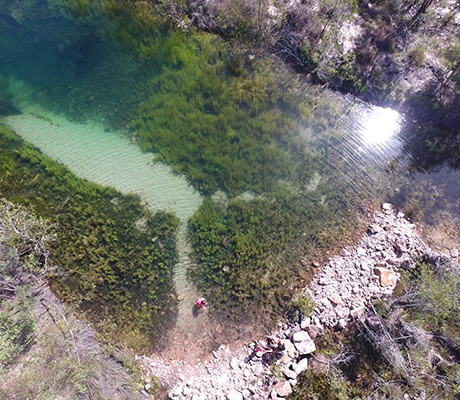Emerald Pool, Lorella Springs, Northern Territory