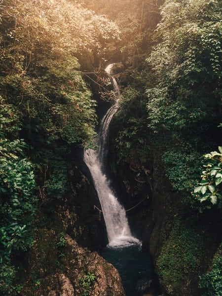 Fairy Falls, Cairns