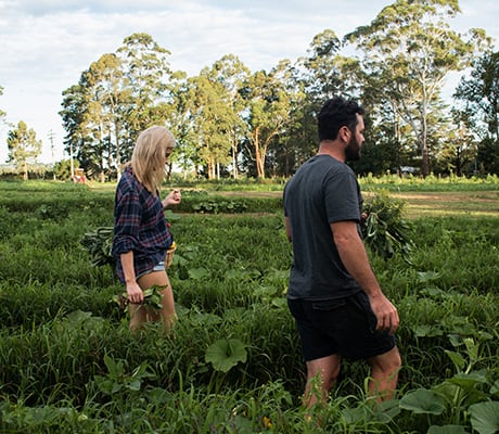 Fanelli Organics, NSW Central Coast