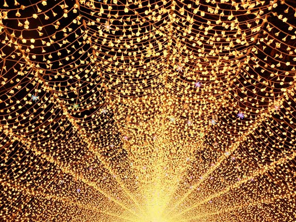 Light tunnel at the GLOW light festival at Sydney Zoo. (Image: Sydney Zoo)