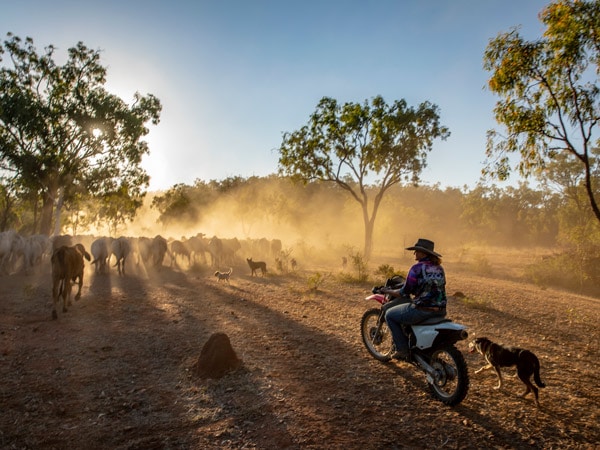 a man riding a motorcycle at Gilberton Outback Retreat