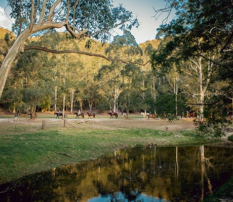 Horseriding, Glenworth Valley, NSW Central Coast