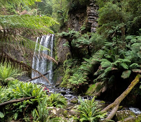 Hopetoun Falls, VIC