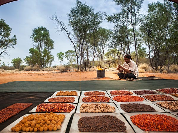 Karrke Aboriginal Cultural Experience & Tours, Northern Territory