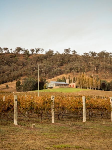 Logan Wines Mudgee cellar door