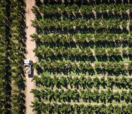 Manto Produce, Cobram, VIC