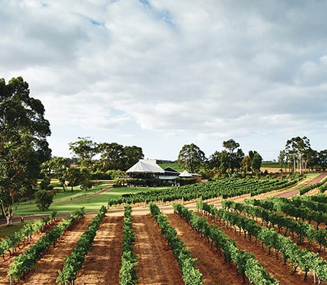 Margaret River winery