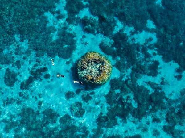 Snorkelling off Wilson Island