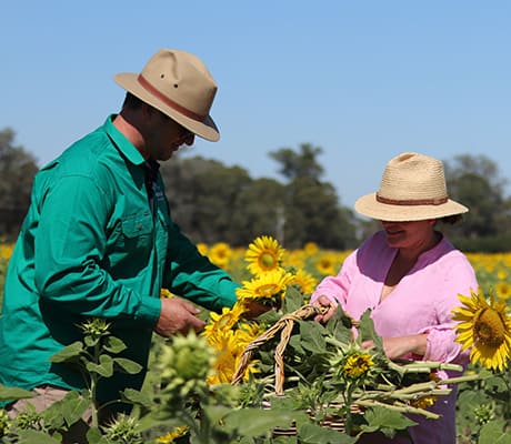 Rich Glen Estate, Yarrawonga