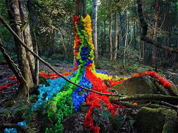 Scenic World exhibition