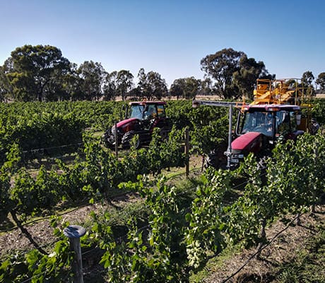 Warrabilla Wines, Murray Valley, Rutherglen